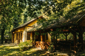 Forest House